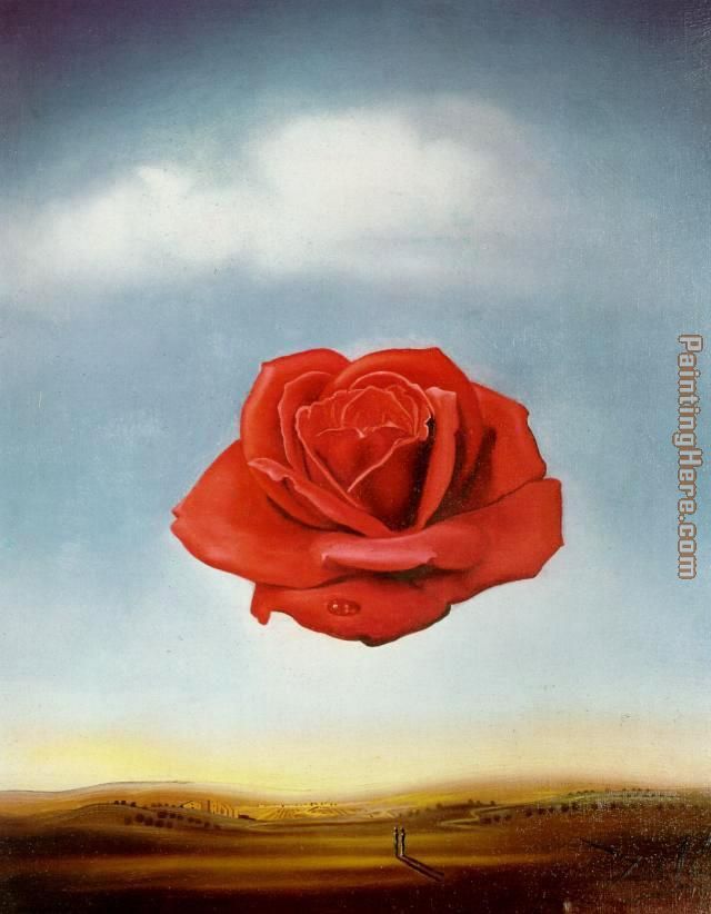 meditative rose painting - Salvador Dali meditative rose art painting